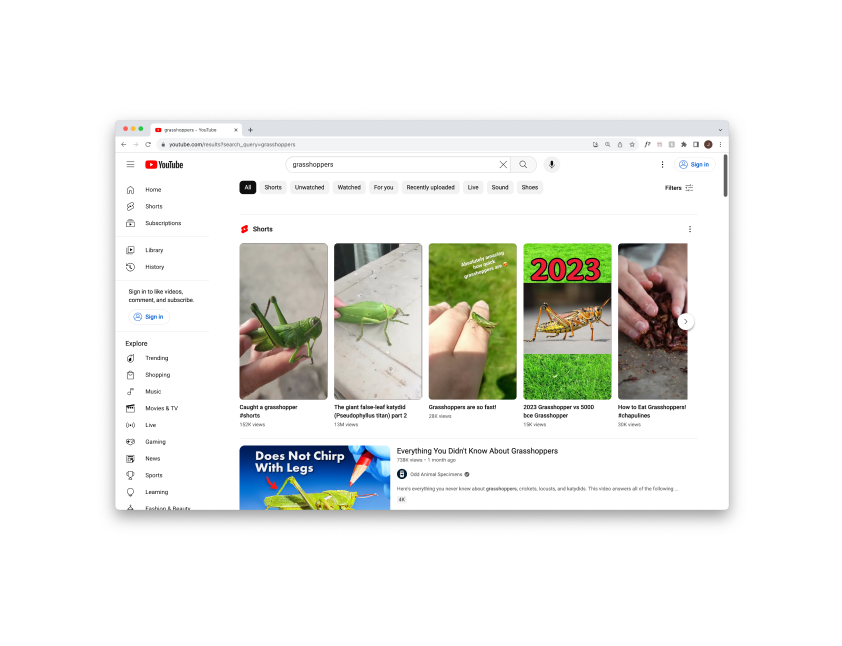 7b_Search YouTube.png